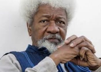 Stop Dabbling into Affairs That Does Not Concern You – Prof. wole Soyinka Warned