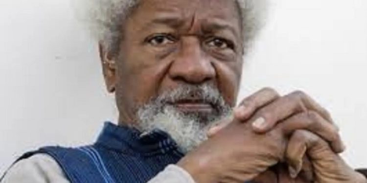 Stop Dabbling into Affairs That Does Not Concern You – Prof. wole Soyinka Warned
