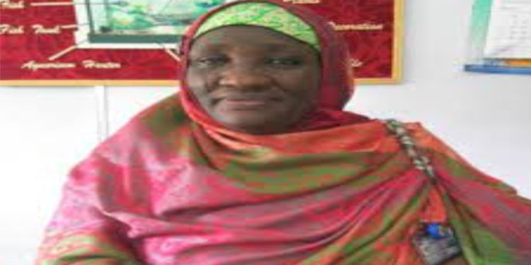 Media Watch Hails Promotion of Professor Mulkat Ahmed of University of Ilorin